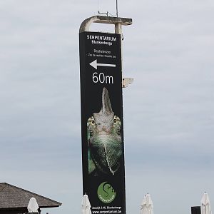 Direction-sign to the Serpentarium