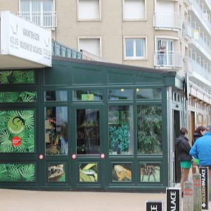 Entrance Serpentarium