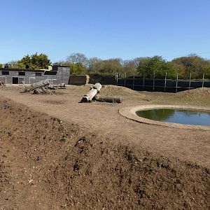 Paddock for Tapir , Greater Rhea and Capybara .