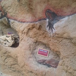 Wall decoration Hippo and Croc House