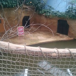 Hippo indoor enclosure from above