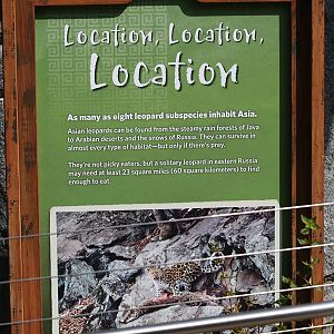 Amur leopard signage