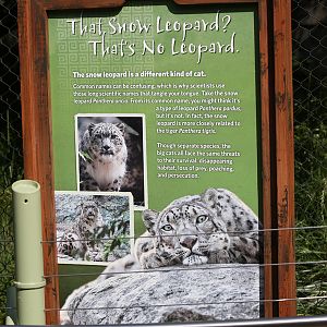 Snow leopard signage