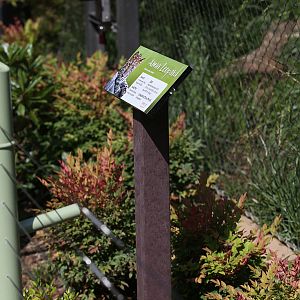 Movable leopard sign