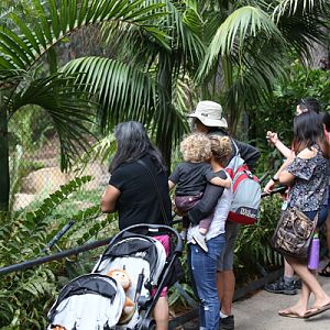 Everyone loves a baby