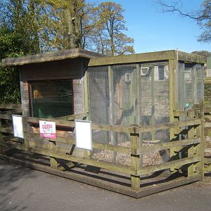 Empty Marmoset enclosure