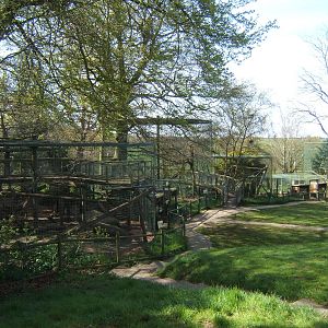 View towards Snow and Amur Leopard enclosures