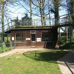 Siamang and Crab-eating Macaque Housing