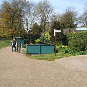 View towards Meerkat enclosure