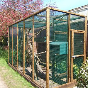 Swinhoe`s Striped Squirrel enclosure
