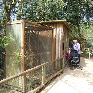 View of Common Marmoset House