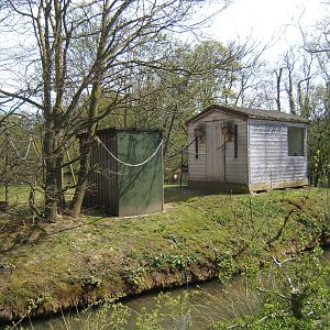 Common Squirrel monkey and Common Marmoset housing on Island