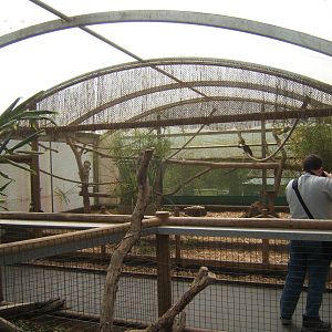 View of Toucan aviary