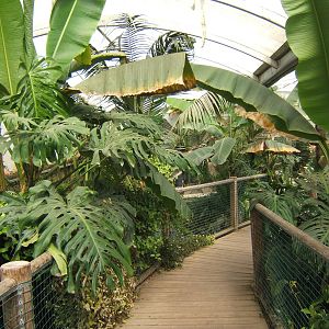 View inside Tropical House