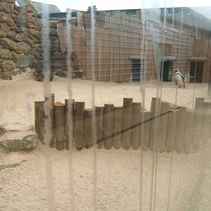 View of Humboldt`s Penguin enclosure
