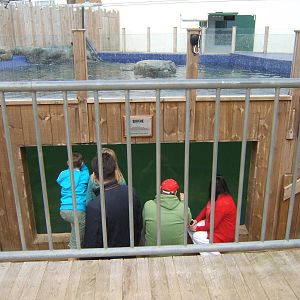 View of Common Seal enclosure