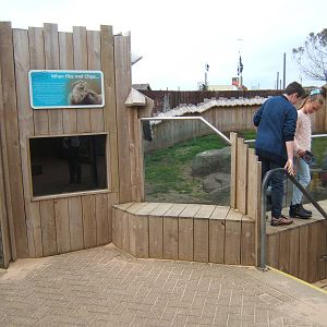 View of ASCO enclosure