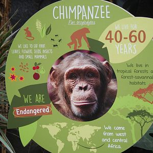 New chimpanzee signage