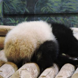 ...Like potential son or daughter