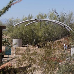 future stingray exhibit
