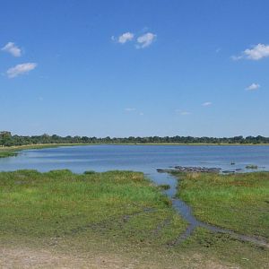 Hippo Pool, Moremi Game Reserve, Botswana, 26/04/16