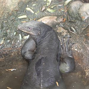 Southeast Asian Water Monitor