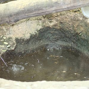 Water Monitor Enclosure (Part 3)