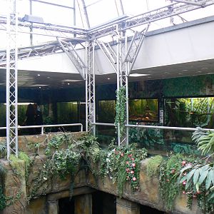 View Across to the Reptile and Stick Insect Area - 21 May 2016