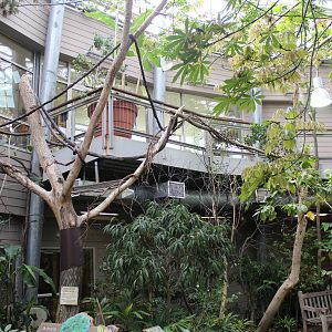 May. 2016 - Discovery Forest - Two-toed Sloth Exhibit (Plus Expansion)