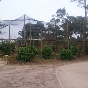 New - partly walk-through - aviary
