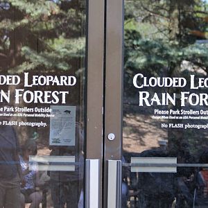 A new name for The Fragile Rain Forest