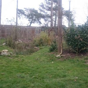 View in the new aviary