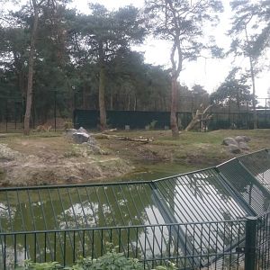 One of the Amur tiger enclosures