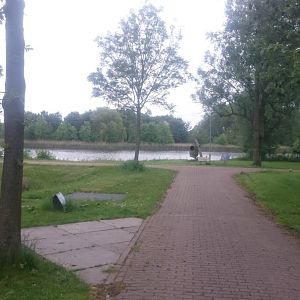 View into the park