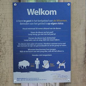 Warning and rule sign Przewalski horse - Wisent enclosure