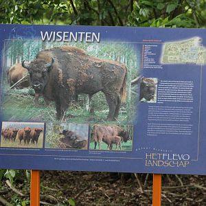 Sign Wisent