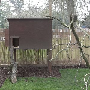 Shelter in new Coati exhibit, 7th May 2016
