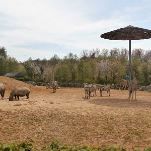 Edge of Africa - Kingdom of the Wild