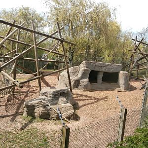 Mandrill enclosure