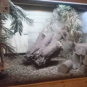 Part of the Armadillo enclosure