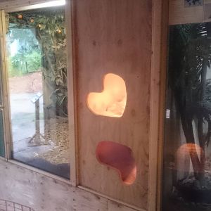 Other part of the Armadillo enclosure