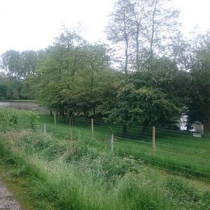 Small part of the Pere David's deer enclosure