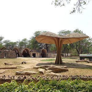 Indian Elephant Exhibit Angle #1