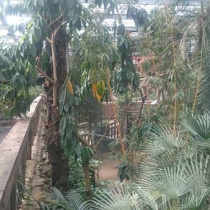 Bamboe Jungle: Terras and Play-ground