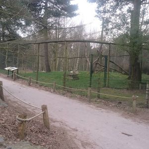 Secretary bird aviary