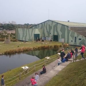 Ape-house and Chimp island