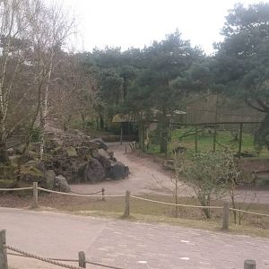 Meerkat enclosure - left - and Hornbill-vulture aviary - right