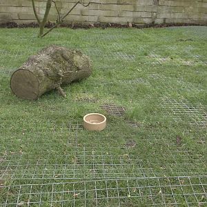 Mesh to foil Coati excavations, 21st May 2016