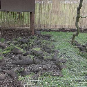 Not enough mesh to go round here! 21st May 2016