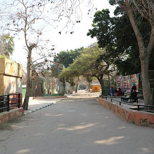 View across the zoo, February 2016